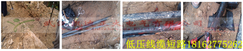 湖北大學校園大香蕉福利视频檢測.png